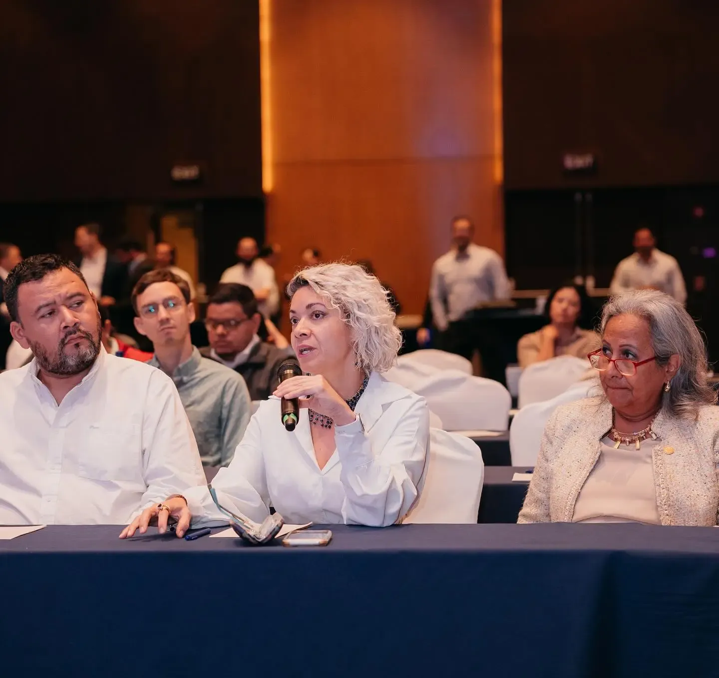 Ana Carmona / President of the Costa Rican Entrepreneurs Association